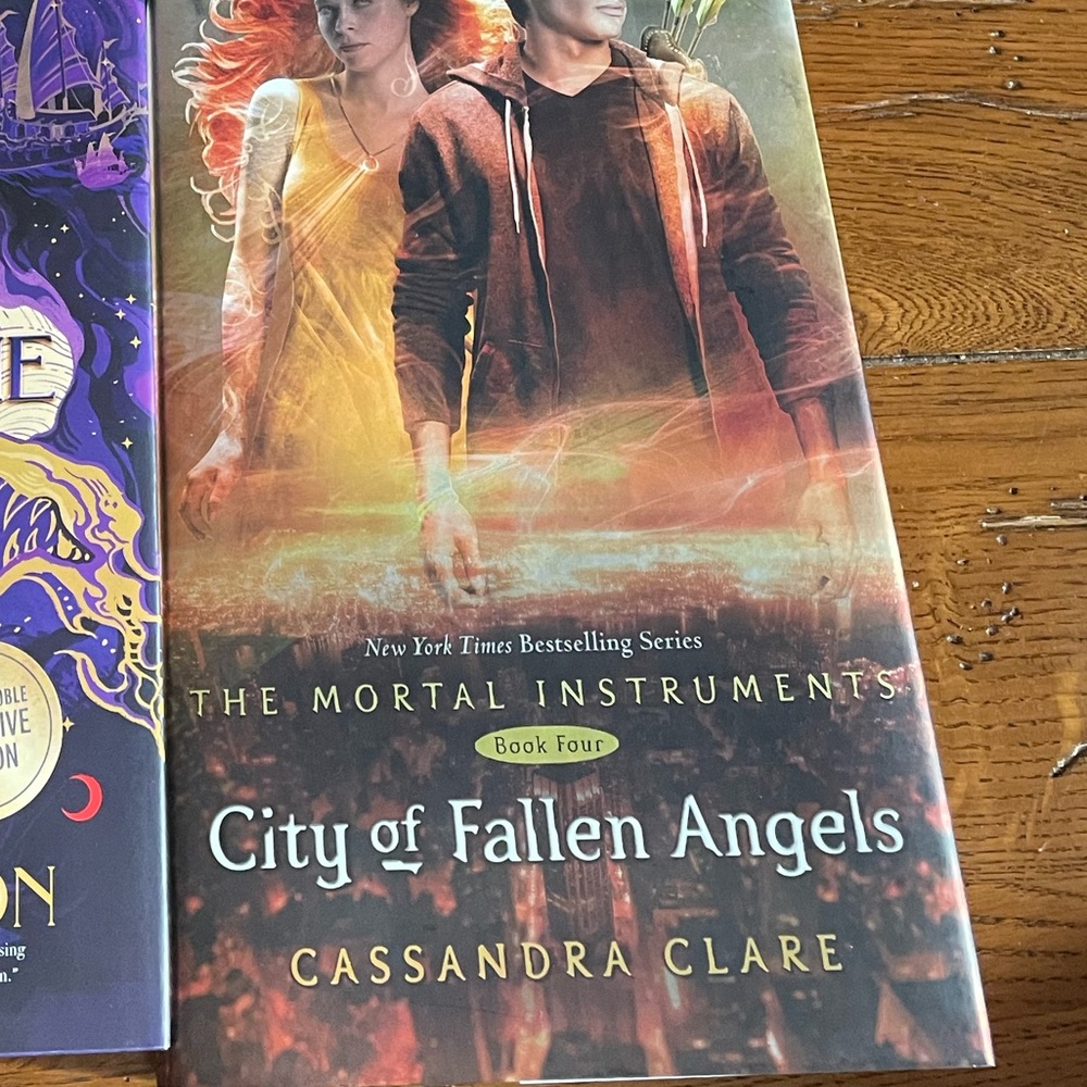 The Mortal Instruments City of Fallen Angels by Cassandra Clare